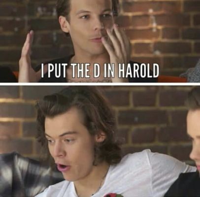 LARRY FOREVER!!! | One Direction Funny Memes | Quotev