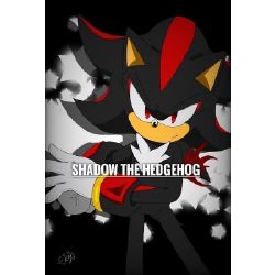 Sonic Fusion Book - Rouge/Shadow fusion bio - Wattpad