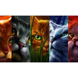 200 FIRESTAR ideas  warrior cat, warrior, warrior cats
