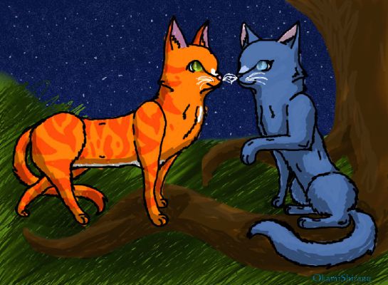 Firestar and Bluestar  Warrior Cats Dunes-of-Fruit