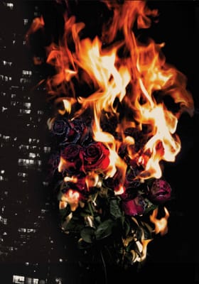 Vampire The Masquerade Clan Test - Quiz | Quotev