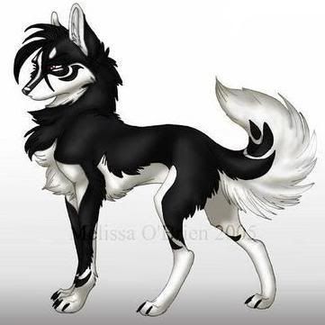 Anime Wolves Images Doggie Hd Wallpaper And Background  Anime Wolves   Free Transparent PNG Clipart Images Download