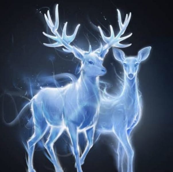 What Is Your Harry Potter Patronus? - Quiz | Quotev