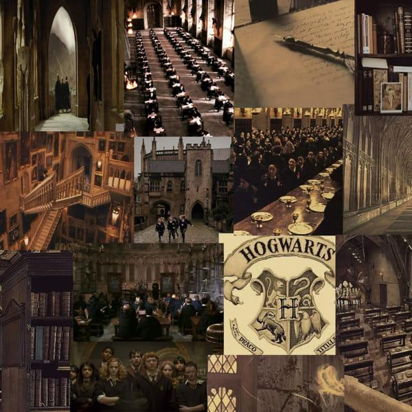 What is your role in Hogwarts? - Quiz | Quotev