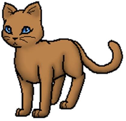 Warrior Cats Stuff