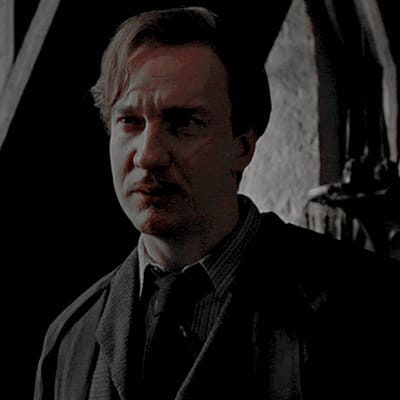 Remus Lupin | Which Harry Potter man has a crush on you? - Quiz | Quotev