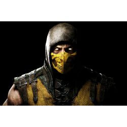 Quiz] Qual dos Ninjas de Mortal Kombat você seria?