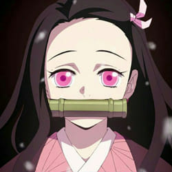 Popular Nezuko Kamado Quizzes