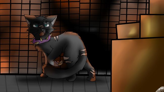 Warrior Cats Scourge Stories