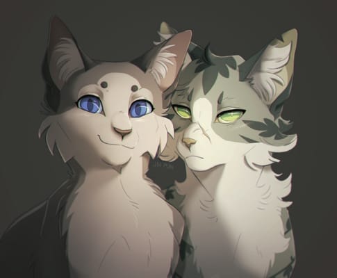 Warrior Cats Dovewing And Foxleap