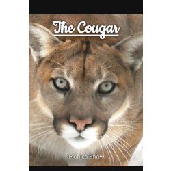 Cougar Stories