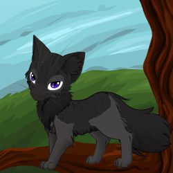 Warriors Fan-Art: Ravenpaw by Webpelt on DeviantArt