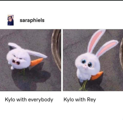 Angry Bunny Memes Angry Bunny Meme Generator Imgflip