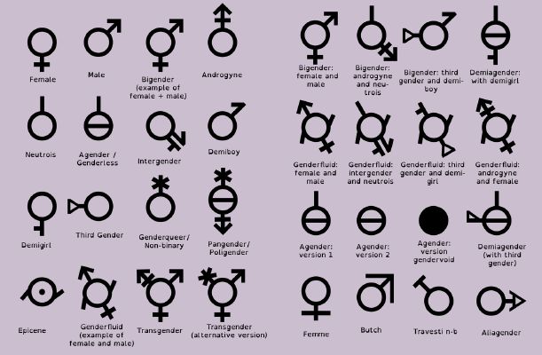 What's your gender?  Gender spectrum, Gender identity quiz, Gender flags
