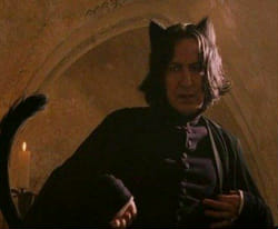 write a letter to: severus snape - Quiz | Quotev
