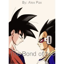 Monaka for Sparking! ZERO on X: Anyways, read DBM. If not for the art and  this beautiful shot of Goku and Vegeta  / X