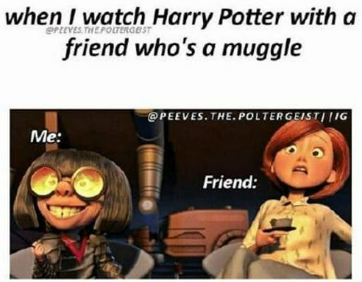 Harry Potter Memes Every Muggle Will Love 