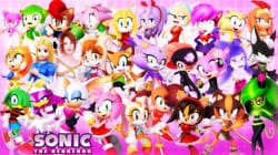 Which main Sonic girl character are you? - Quiz | Quotev