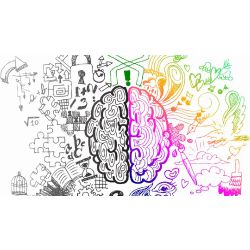 Are You Right Brained Or Left Brained Quiz Quotev