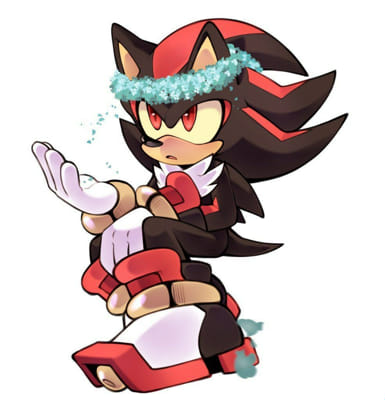 Fanart, Shadow the Hedgehog Protecc Squad!