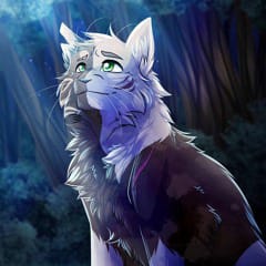 My Warrior Cats Characters! (OC Wiki) - Sunnyeyes - Wattpad