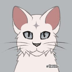 Clan generator thing, but instead of learning how to draw i spent 3 hours  on picrew : r/WarriorCats