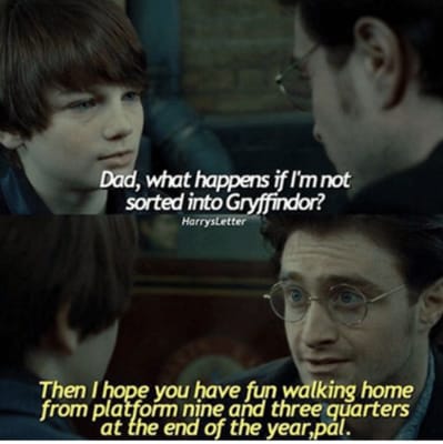 Here are some of my favourite Harry Potter memes! Hope you like