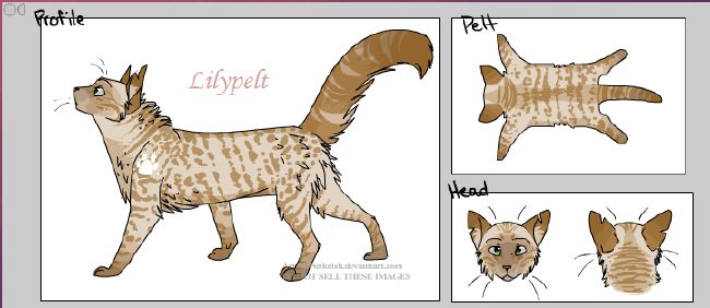 My Warrior Cats Characters! (OC Wiki) - Chanterellepaw - Wattpad