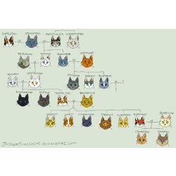 warrior cats firestars family tree