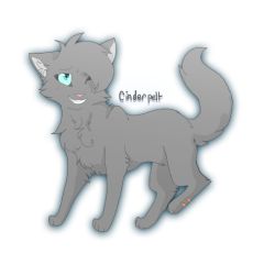 How well do you know Cinderpelt? - Test | Quotev