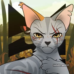 Warriors Rp Quizzes Warriors Rp Quizzes