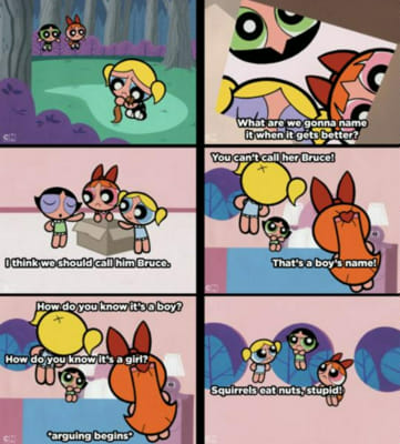Which Powerpuff Girl are You? - Quiz | Quotev
