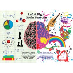Are you the left brain or the right brain - Quiz | Quotev