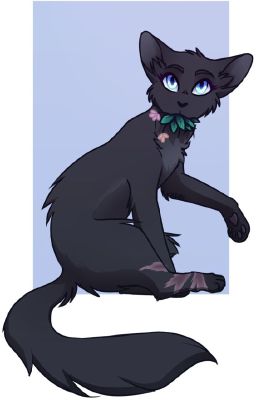 Jayfeather (Warrior Cats AU), New OC Book