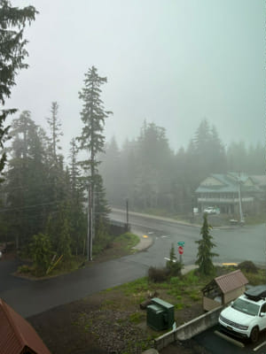 Which Twilight character are you? - Quiz | Quotev