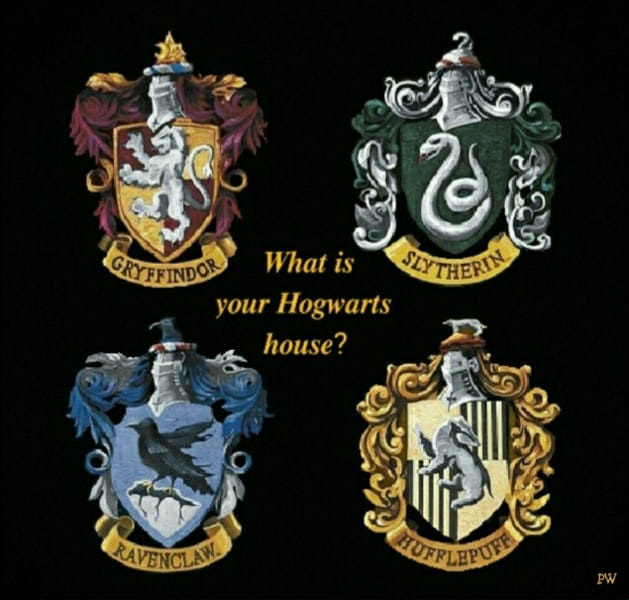 What is your Hogwarts house? Quiz Quotev