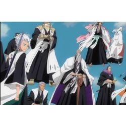 What Captain Is Your Bf/Gf (Bleach)? - ProProfs Quiz