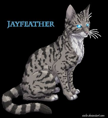 Jayfeather