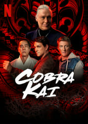 Cobra Kai or Miyagi-Do, Which Characters Belong to Which Dojo in