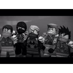 Which Ninjago Ninja Are You - Quiz | Quotev