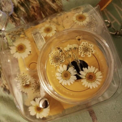 Which Winnie the Pooh Character Are You? - Quiz | Quotev