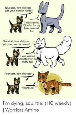 What If Firestar Joined WindClan?, Warrior Cat What Ifs?