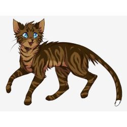 THe five clans - Warrior cats - Digital Art, Childrens Art, Other Childrens  Art - ArtPal