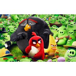 The Angry Birds Movie. (Red X Human! Shy! Kind! Reader.) | Quotev