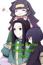 Hunter x Hunter AMV - I Will Show You 