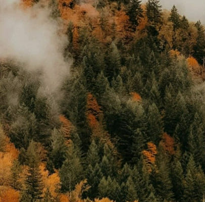 What Is Your Autumn Vibe? - Quiz | Quotev