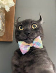 which cryptic message from my notes app are you - Quiz | Quotev