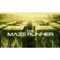 Maze Runner Boyfriend (long result) - Quiz | Quotev