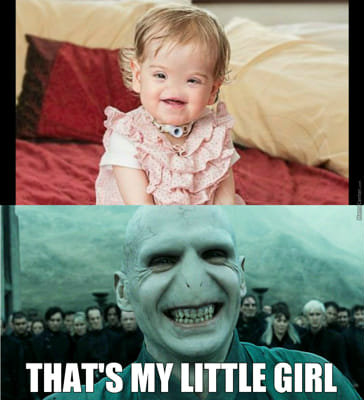 Funny harry potter memes and one random one of baby animals!