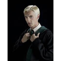 Does Draco Malfoy Have A Crush On You? - Test 